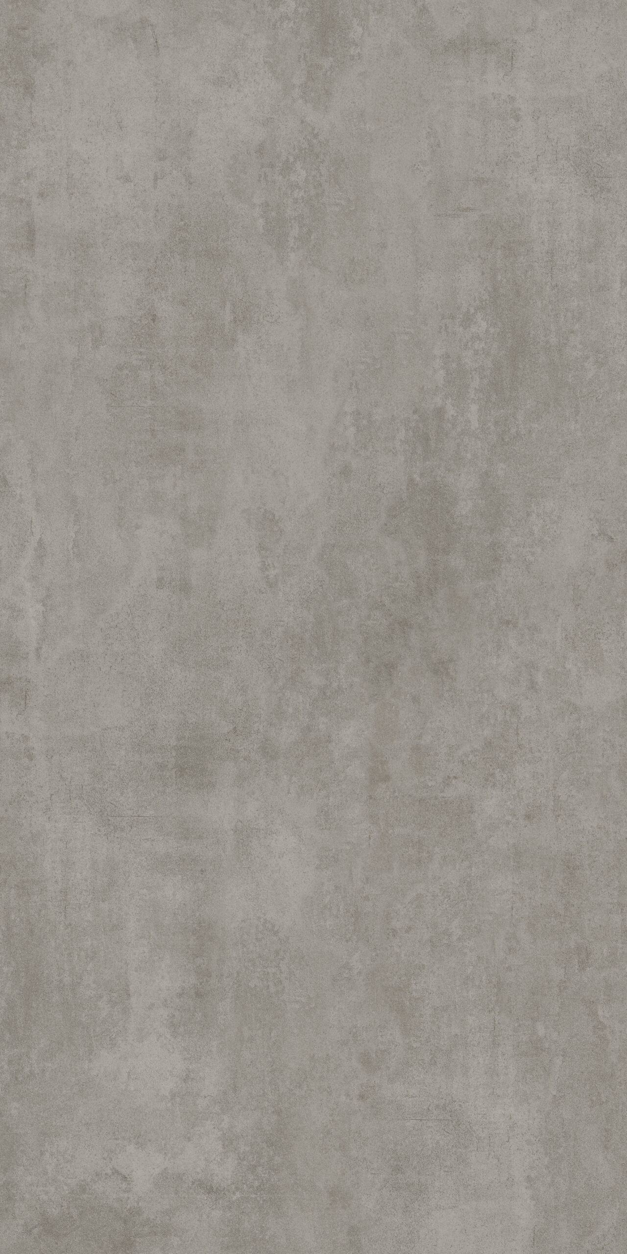 Brunetto Grigio - Gambar 2