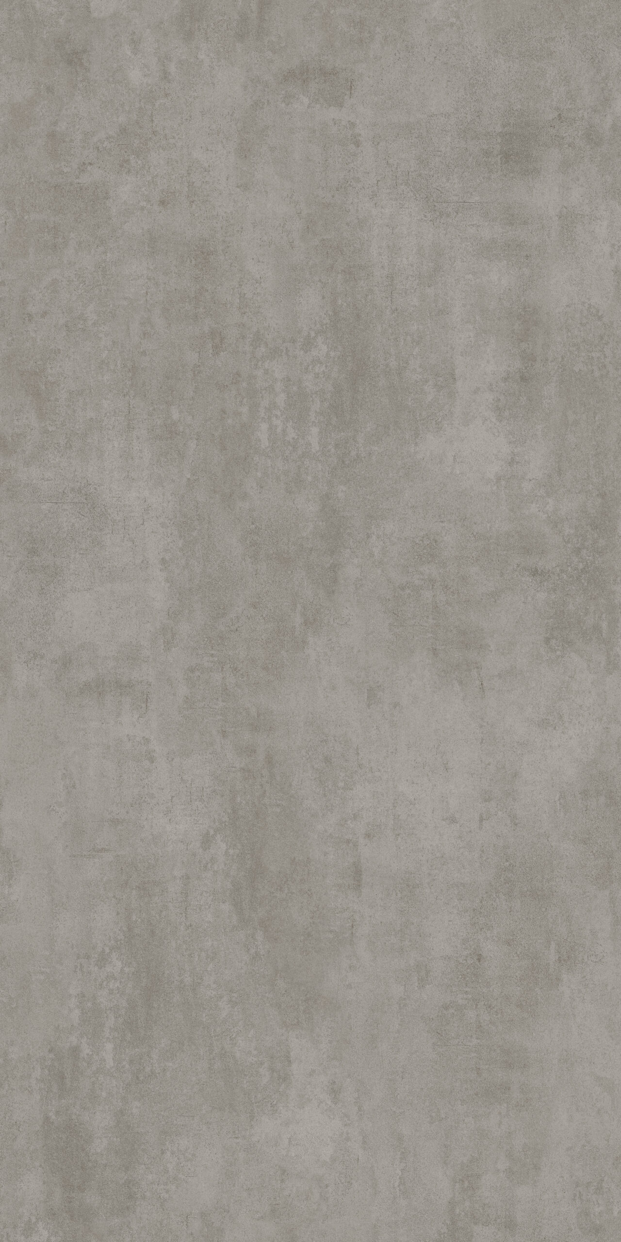 Brunetto Grigio - Gambar 3