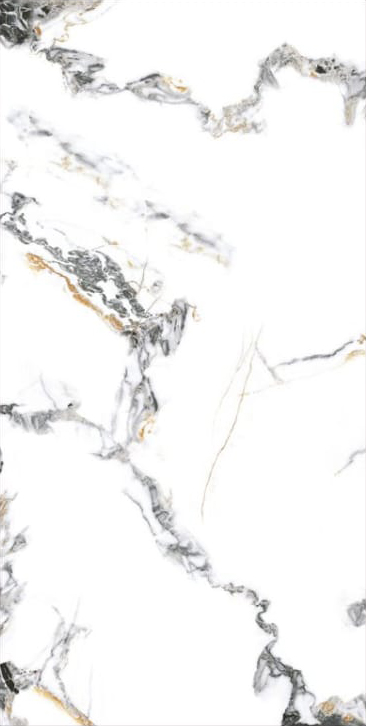 Cortinous White - Gambar 3