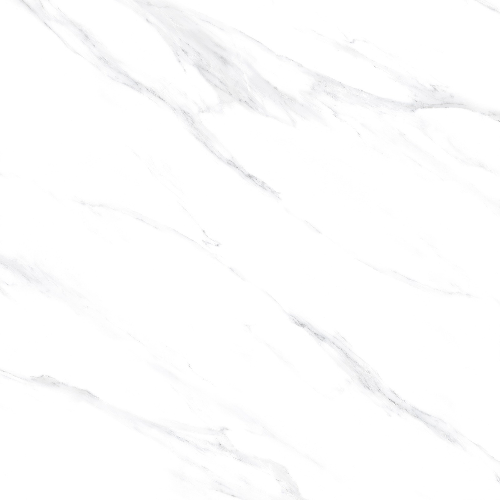 Kashmir White - Gambar 2