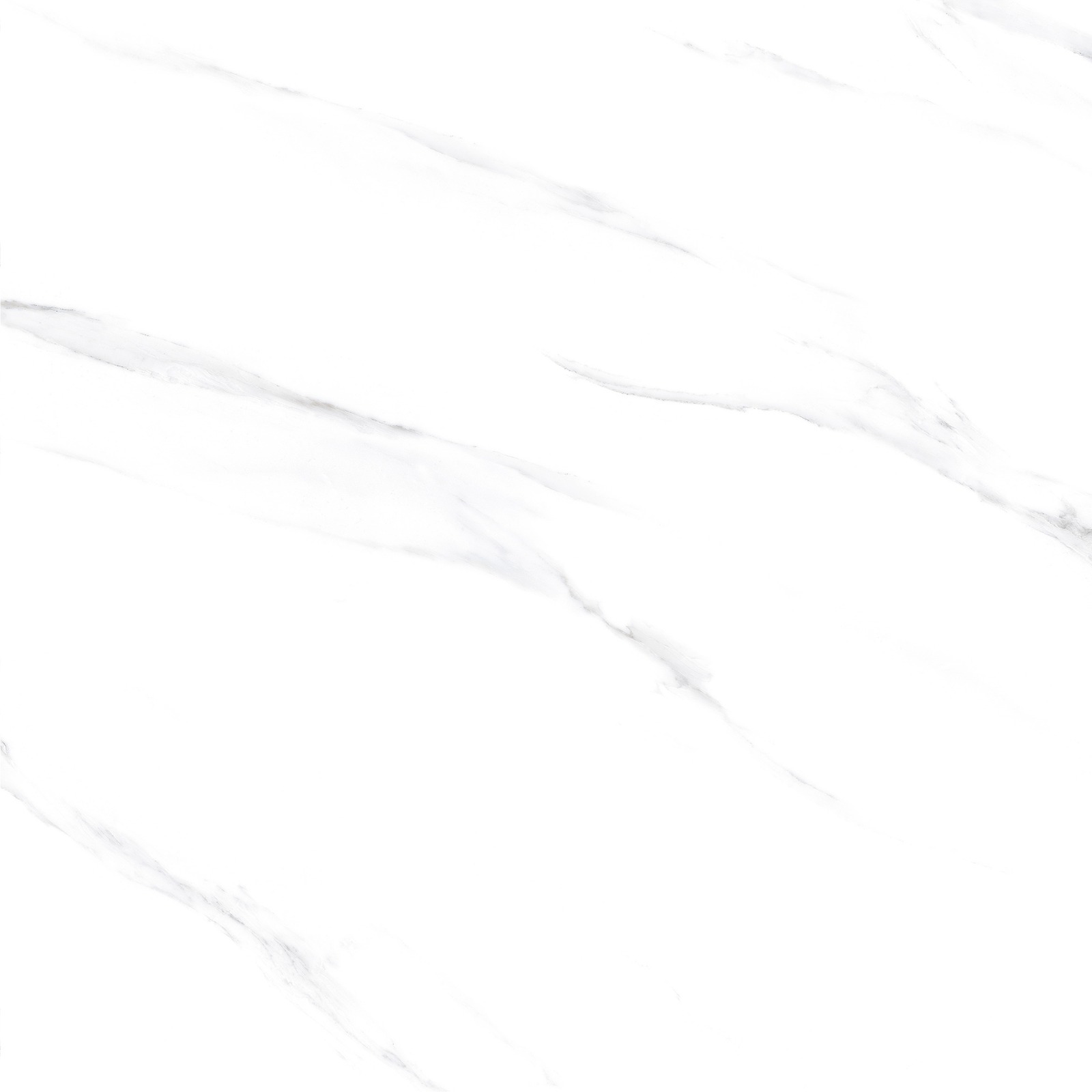 Kashmir White - Gambar 3