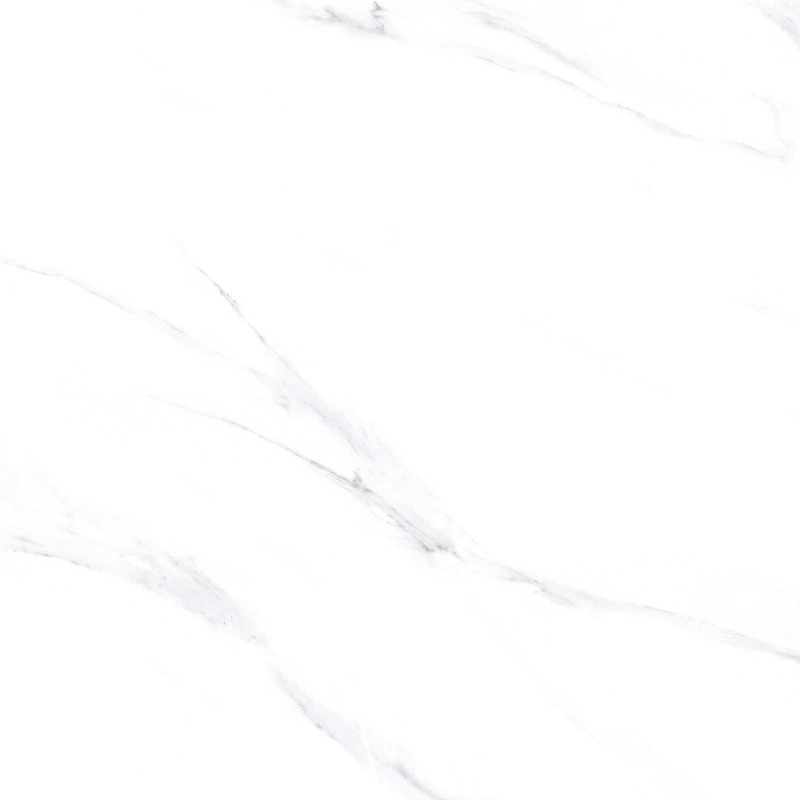 Kashmir White - Gambar 5