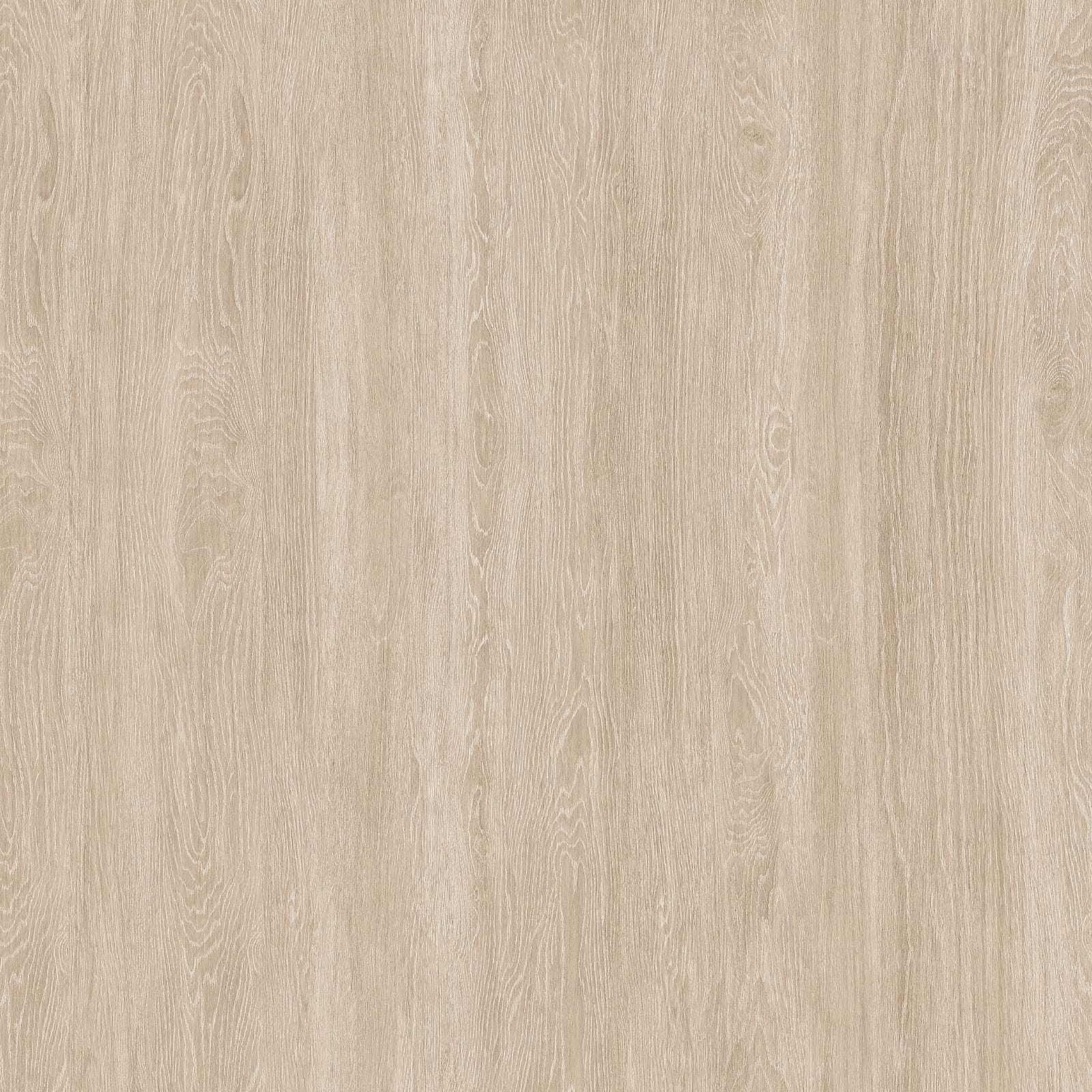 Acacia Cream Wood