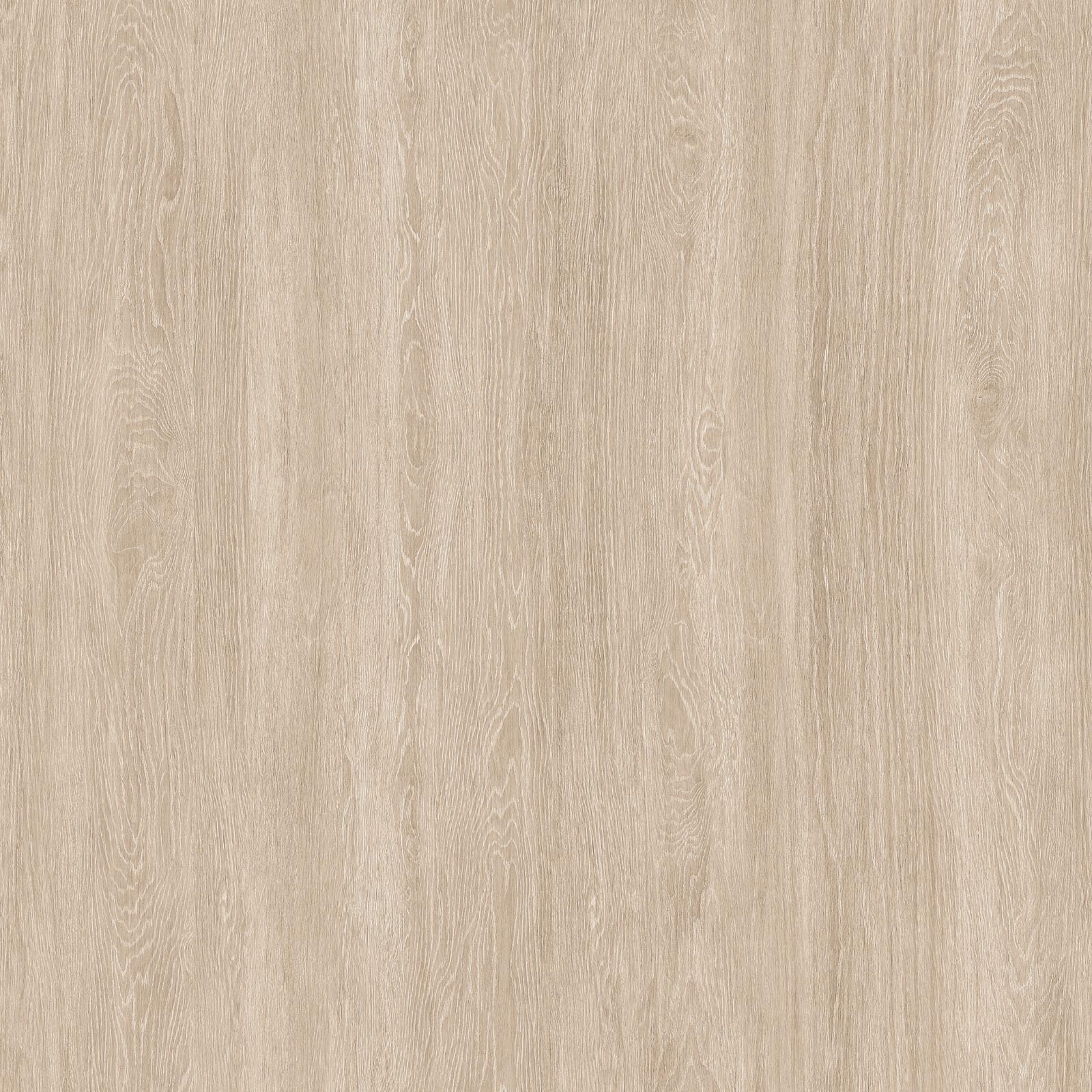 Acacia Cream Wood - Gambar 2