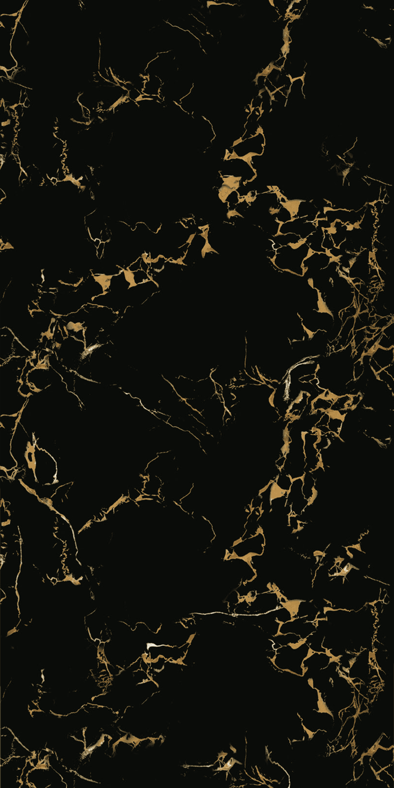 Black Cyprus - Gambar 2