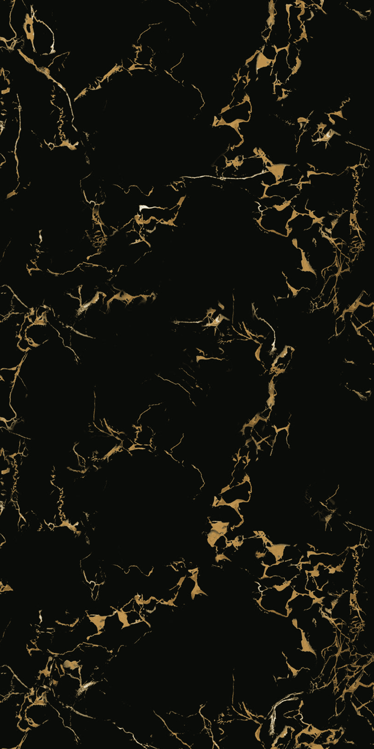 Black Cyprus - Gambar 3