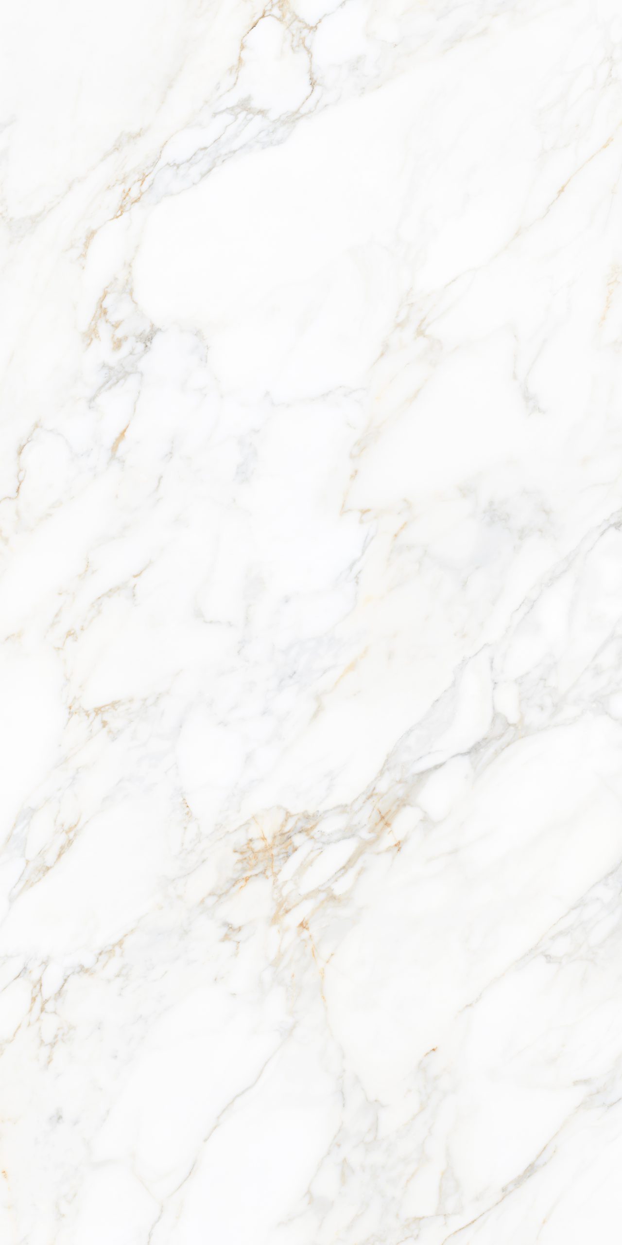 Carrara Gold - Gambar 2