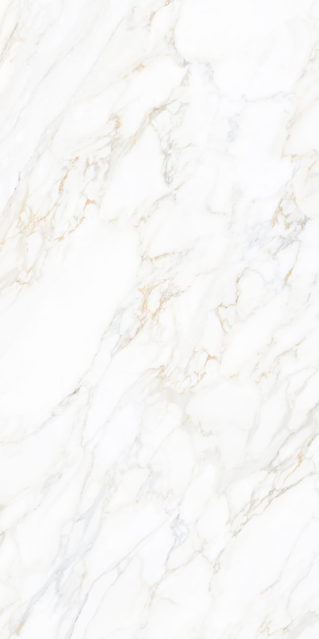 Carrara Gold - Gambar 3