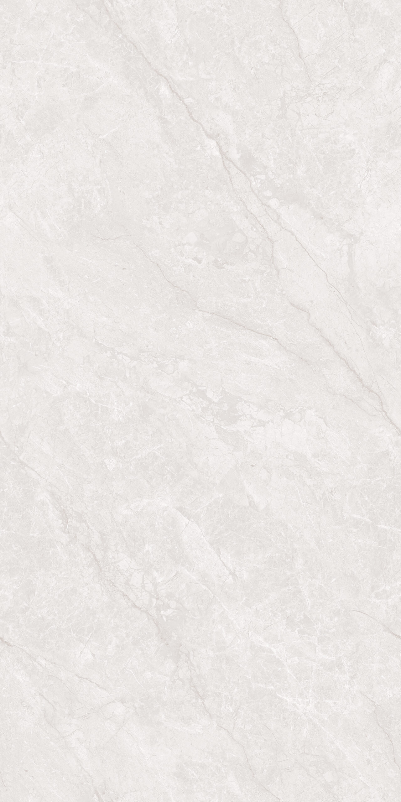 Arcadia Grey - Gambar 4