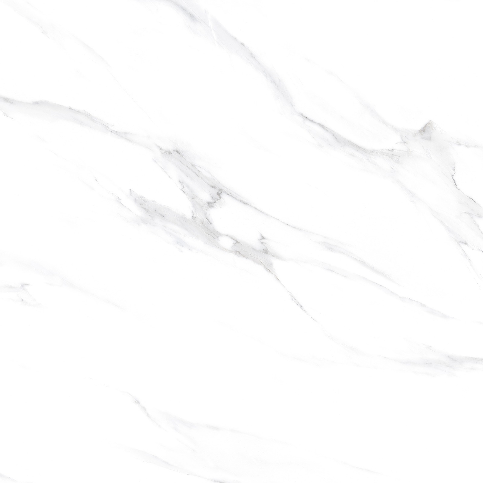 Kashmir White - Gambar 7