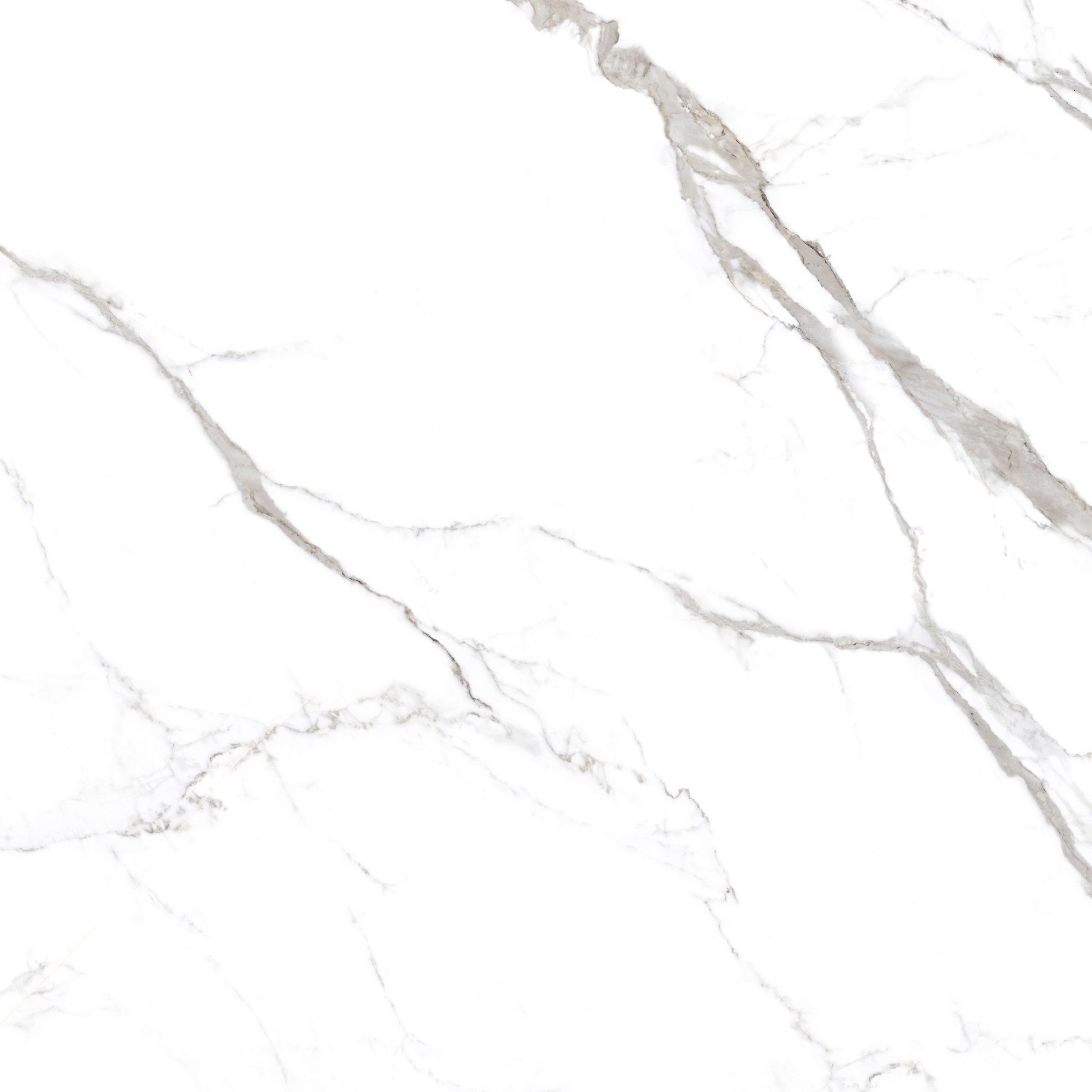 Spanish Carara - Gambar 2